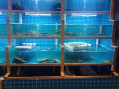 水产区-梅花香里大酒店(郁金香路店)