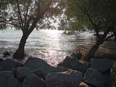 -宝安西湾红树林湿地公园