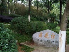 -菊花台公园