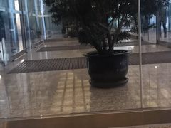 -花旗集团大厦