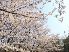 -江南大学(蠡湖校区)