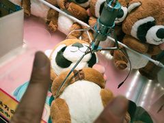 -PAWTOY爪e玩偶店(天兴罗斯福店)