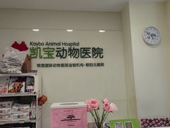 -悦宠凯宝动物医院·牙科·皮肤科(朝阳北路店)