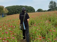 -嘉北郊野公园