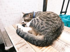 -玉椰林甜品店(创始店)