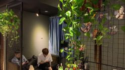大厅-藤野造型