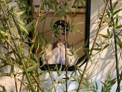 -盘子女人坊古装写真摄影(深圳店)