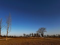 -汉长安城未央宫国家考古遗址公园