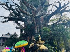 -深圳锦绣中华民俗村