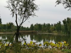 -东郊湿地公园