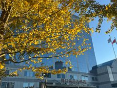 -锦江富园大酒店-游泳馆