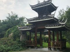 -沈阳植物园