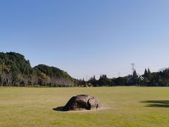 -昆山城市生态森林公园