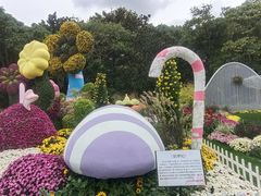 -上海共青森林公园