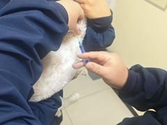 -全心全意连锁动物医院·微创中心·内科急重症·心脏专科(丰管路店)