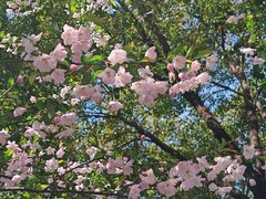 -幕燕滨江·燕子矶公园