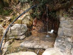 -杭州半山国家森林公园