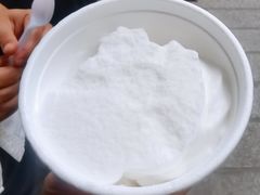 -洪馨椰子
