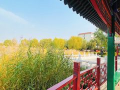 -西海子公园