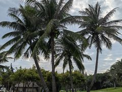 -海南清水湾莱佛士酒店