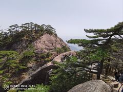 -黄山风景区