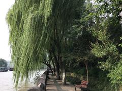 -运河游船(武林门码头)