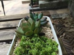 -看书吧(体育东横路店)