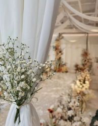 -琥珀婚礼策划AMBER WEDDING