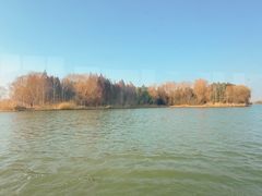 -溱湖国家湿地公园