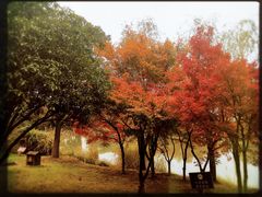 -梁鸿国家湿地公园