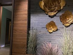 -Dragonfly 悠庭·按摩Spa(苏州中心广场店)