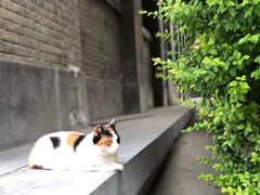 -西安碑林博物馆