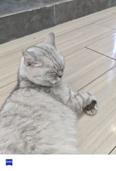 -竹马造型工作室