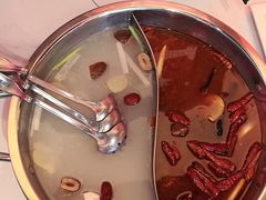 -小叫驴养生驴肉火锅(龙游店)