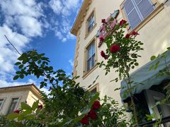 -北京张裕爱斐堡酒庄