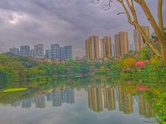 -重庆彩云湖湿地公园