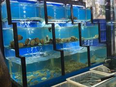 水产区-老东镇啤酒屋海鲜加工·蒸汽海鲜·海鲜烧烤(台东店)