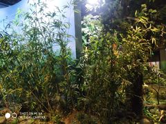 -陕西自然博物馆