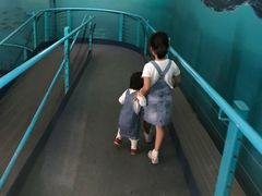 -悉尼海洋生物水族馆