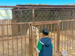 -河北村民俗体验园
