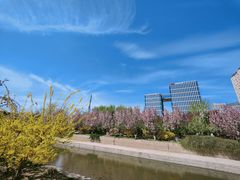 -元大都城垣遗址公园