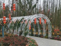-东平国家森林公园