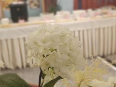 -双湖宴·湖北菜(文化路店)