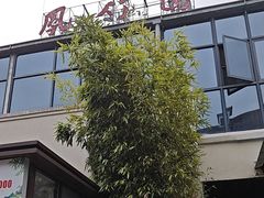 -凤竹园(修水店)