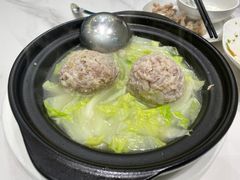 -丁老爷子苏香圆