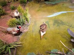 -陕西自然博物馆