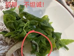 -岩保农家乐
