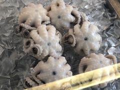 -铭聚章鱼土笋冻(松柏店)