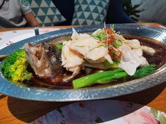 -花舍·新派粤菜·西餐·下午茶(亚运村·鸟巢店)