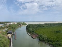 -东寨港红树林旅游区